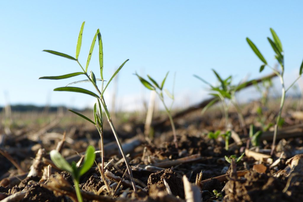 ackerbautagung Niederseidewitz Soest