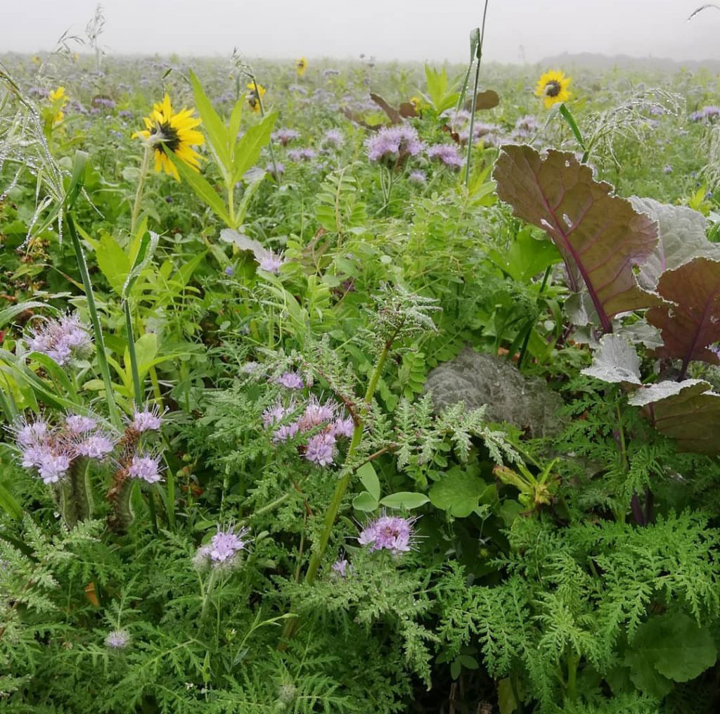 AK Rheinland Pfalz landgasthof bad landgasthof