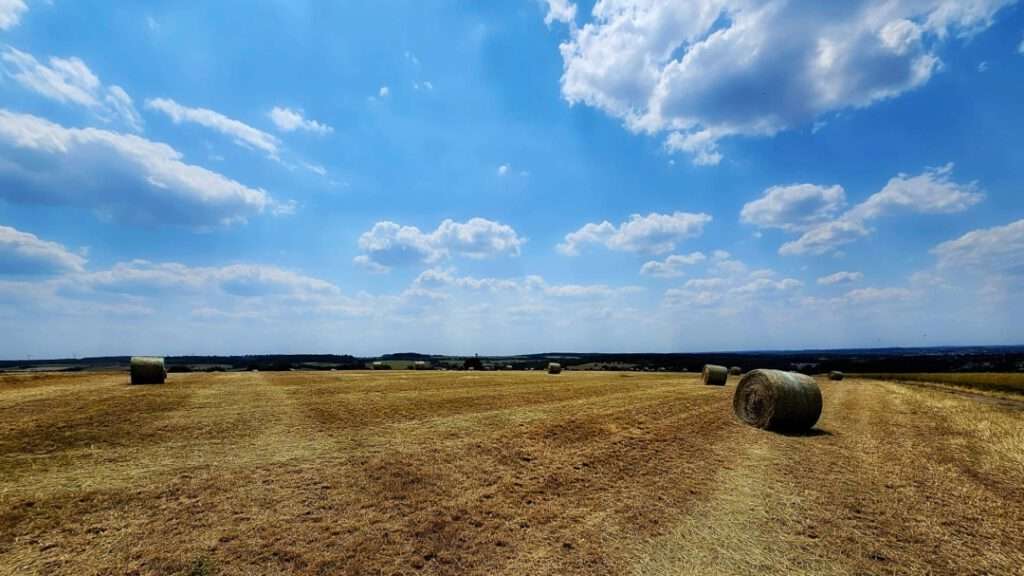 werther Erntegespräch