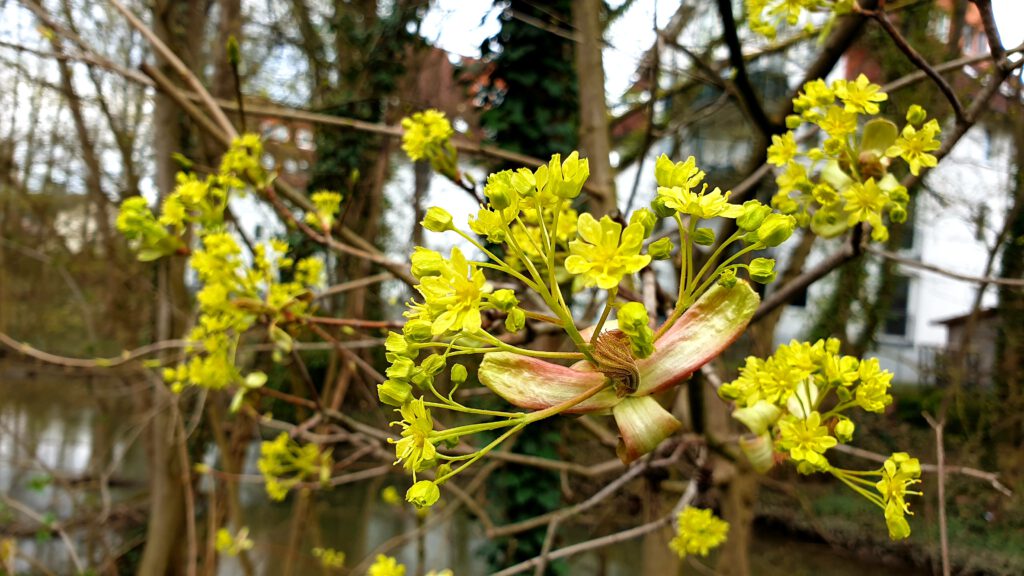 Mitgliederversammlung 2024